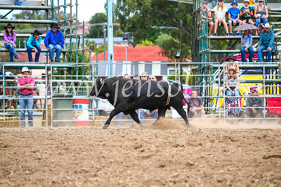QueanbeyanRodeo2017_2168