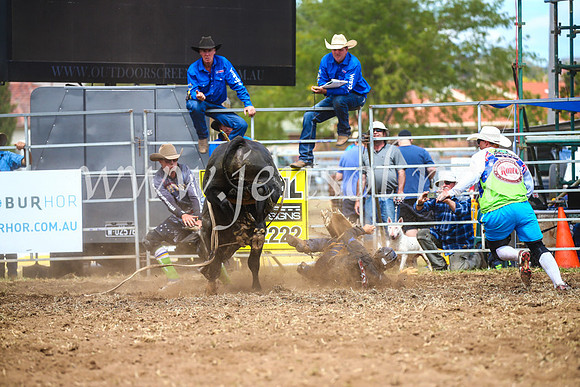 QueanbeyanRodeo2017_2300