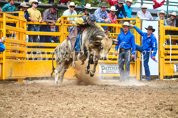 QueanbeyanRodeo2017_2174