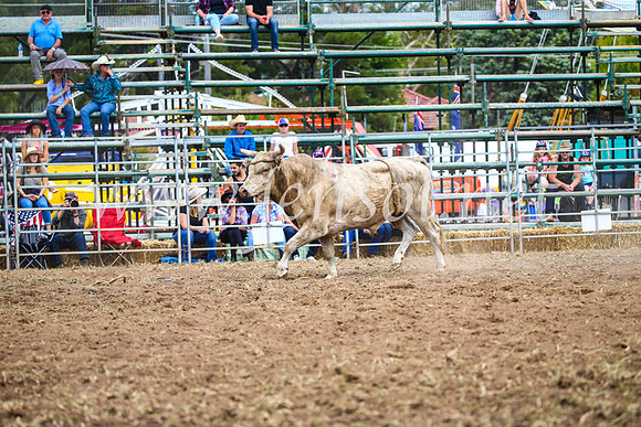 QueanbeyanRodeo2017_2045