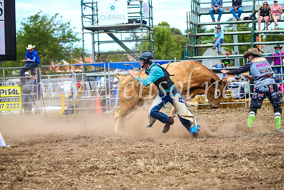 QueanbeyanRodeo2017_1980