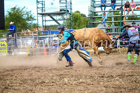 QueanbeyanRodeo2017_1975