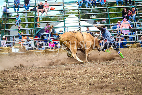 QueanbeyanRodeo2017_1977