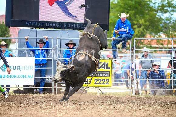 QueanbeyanRodeo2017_2142
