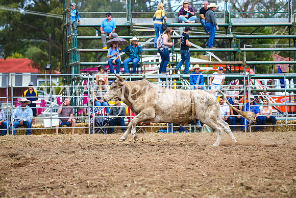 QueanbeyanRodeo2017_2051