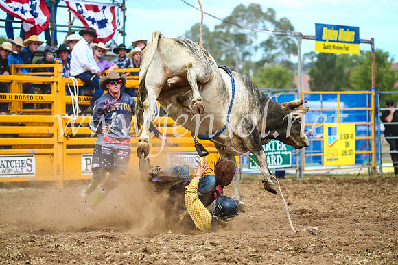 QueanbeyanRodeo2017_2192