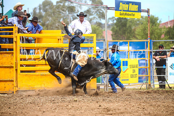 QueanbeyanRodeo2017_2284