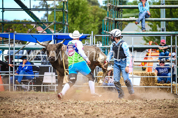 QueanbeyanRodeo2017_2115
