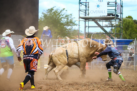 QueanbeyanRodeo2017_2264