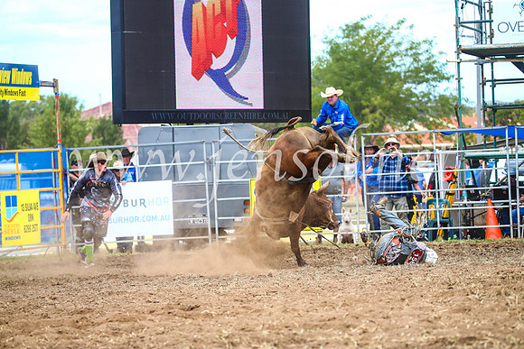 QueanbeyanRodeo2017_2075