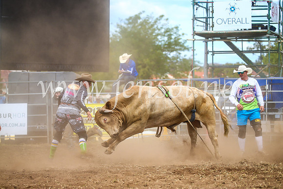 QueanbeyanRodeo2017_2271
