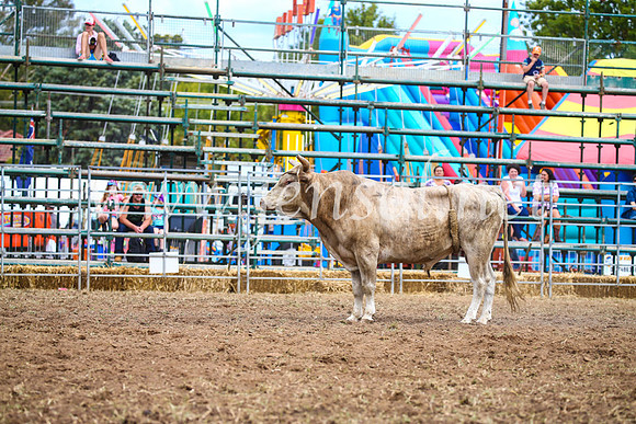 QueanbeyanRodeo2017_2050