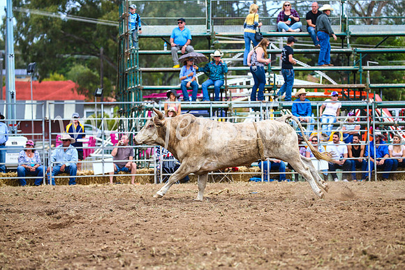 QueanbeyanRodeo2017_2056