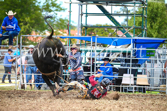 QueanbeyanRodeo2017_2127