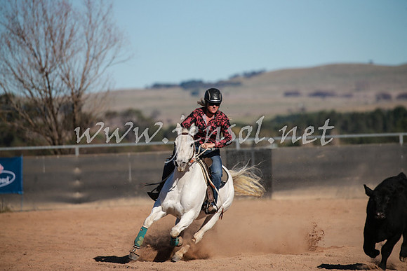 BungendoreCampdraft2016_1227