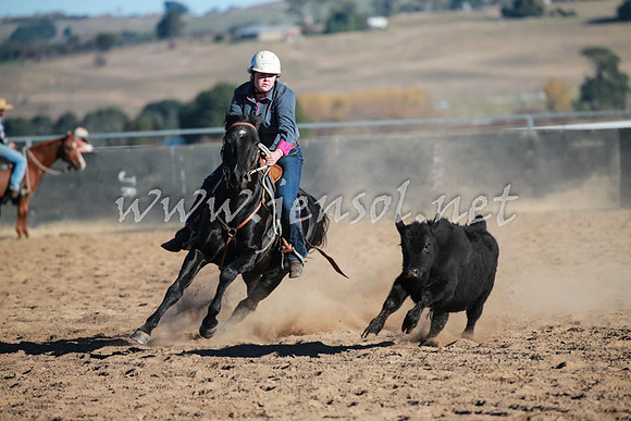 BungendoreCampdraft2016_1504
