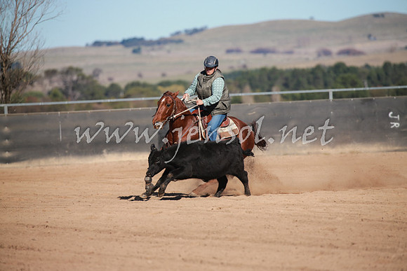 BungendoreCampdraft2016_1124