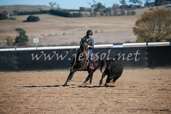 BungendoreCampdraft2016_1310