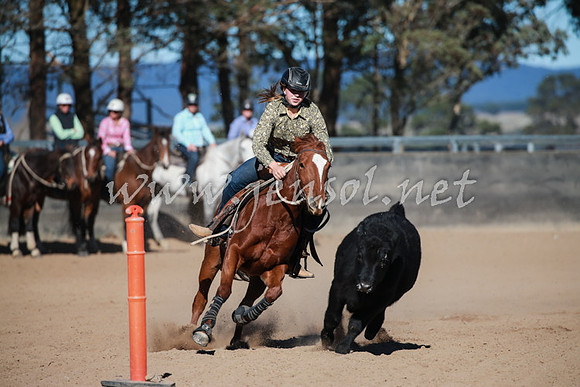 BungendoreCampdraft2016_1201