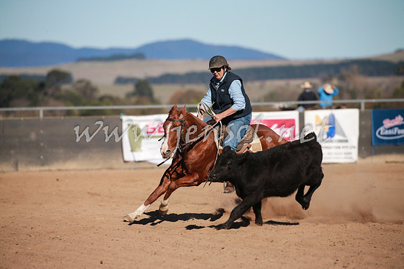 BungendoreCampdraft2016_1210
