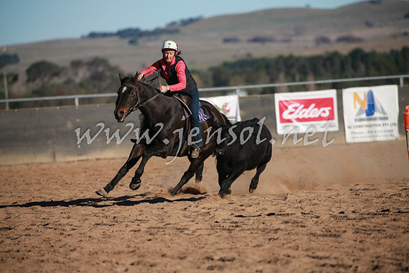 BungendoreCampdraft2016_1510