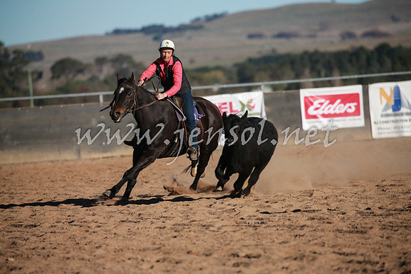 BungendoreCampdraft2016_1509