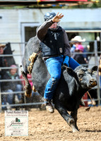 TumutRodeo2019_0996