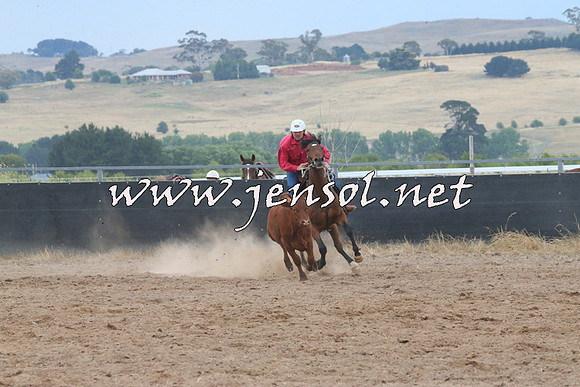 BraidwoodCampdraft2014_2447
