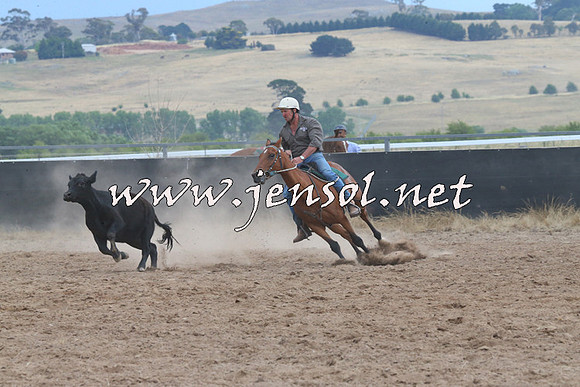 BraidwoodCampdraft2014_2482