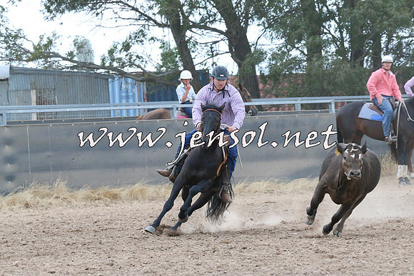 BraidwoodCampdraft2014_2405