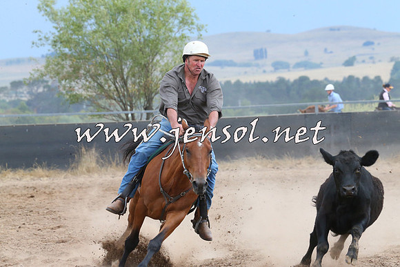 BraidwoodCampdraft2014_2476