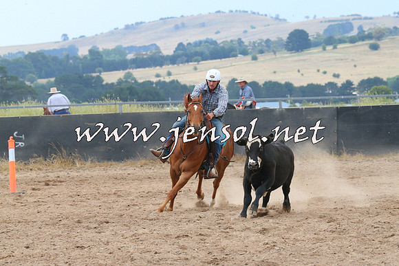 BraidwoodCampdraft2014_2416