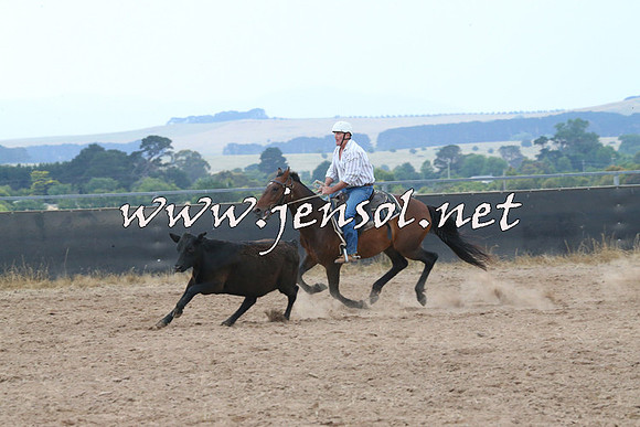 BraidwoodCampdraft2014_2429