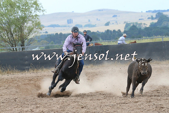 BraidwoodCampdraft2014_2400