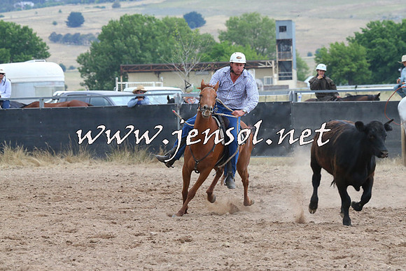 BraidwoodCampdraft2014_2501