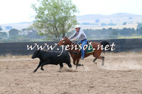 BraidwoodCampdraft2014_2389