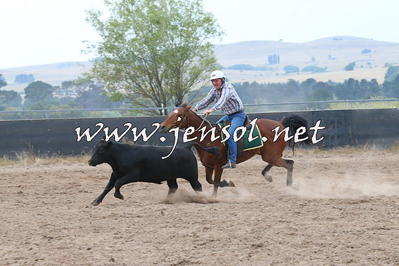 BraidwoodCampdraft2014_2389