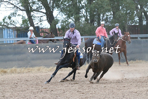 BraidwoodCampdraft2014_2408