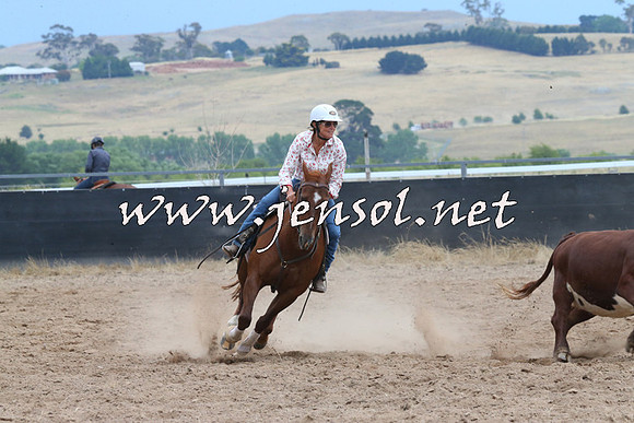 BraidwoodCampdraft2014_2530
