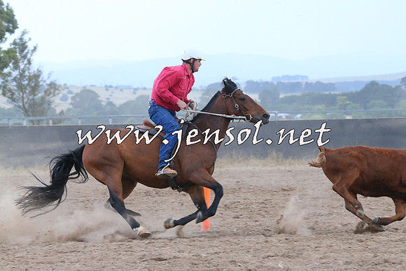 BraidwoodCampdraft2014_2455