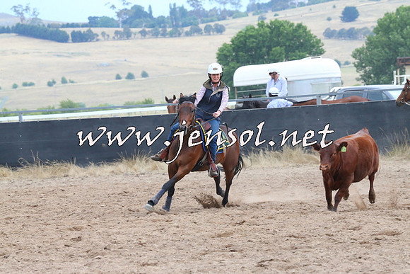 BraidwoodCampdraft2014_2492