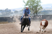 BraidwoodCampdraft2014_2374