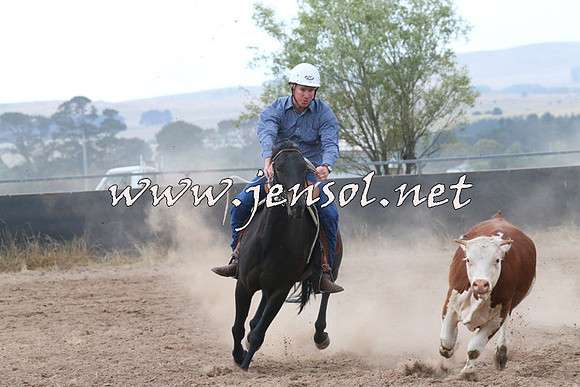 BraidwoodCampdraft2014_2374