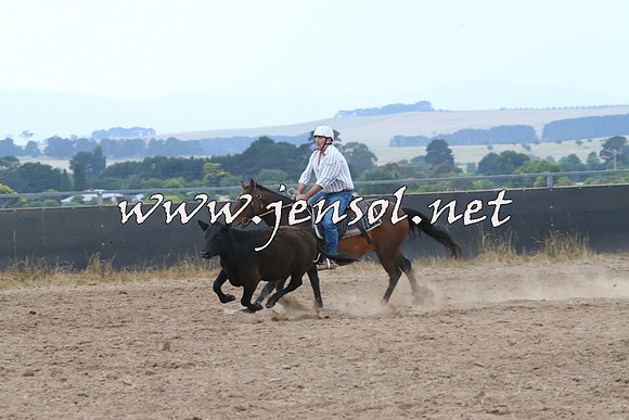 BraidwoodCampdraft2014_2428