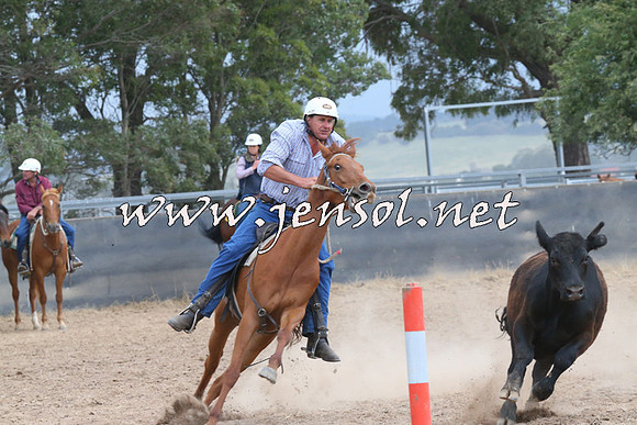 BraidwoodCampdraft2014_2507