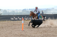 BraidwoodCampdraft2014_2392