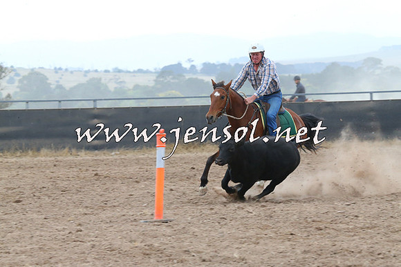 BraidwoodCampdraft2014_2392