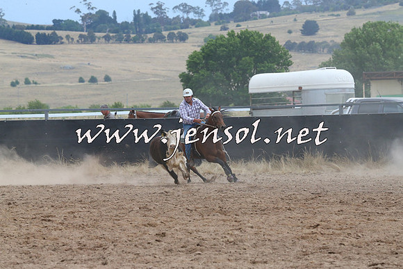 BraidwoodCampdraft2014_2508