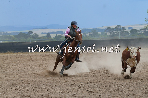 BraidwoodCampdraft2014_2525