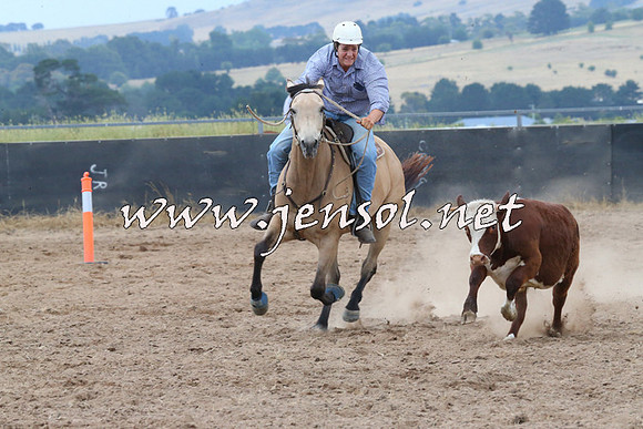 BraidwoodCampdraft2014_2423